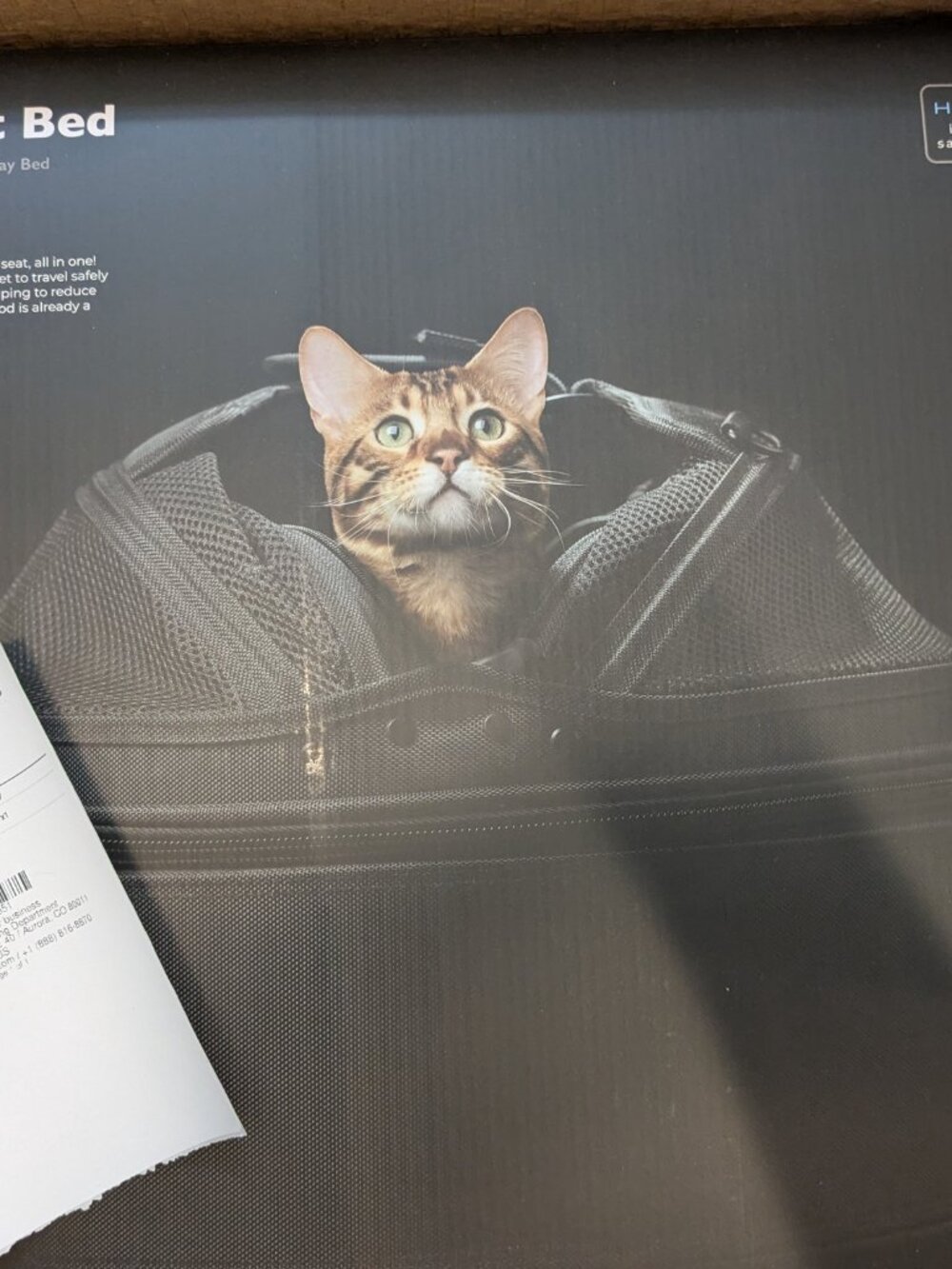 Sleepypod Mobile Pet Bed, first blush - Picture 2 of 2